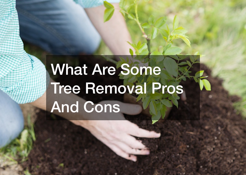 What Are Some Tree Removal Pros And Cons