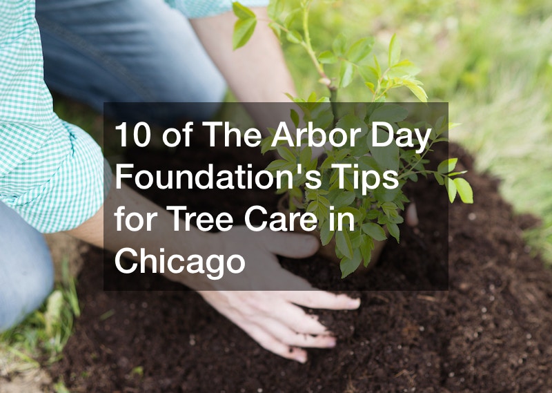 The Arbor Day Foundation's tips