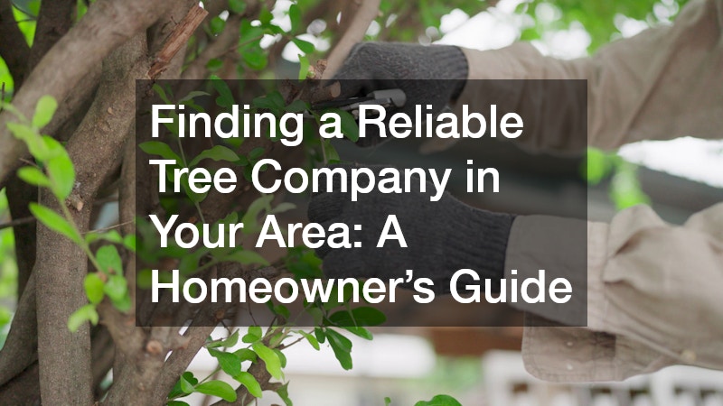 Finding a Reliable Tree Company in Your Area  A Homeowners Guide