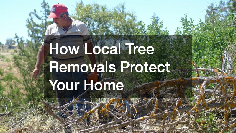How Local Tree Removals Protect Your Home