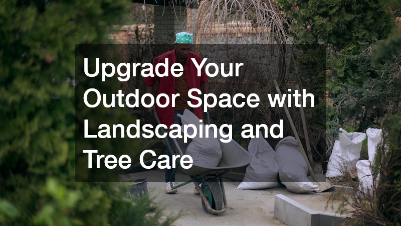 Upgrade Your Outdoor Space with Landscaping and Tree Care