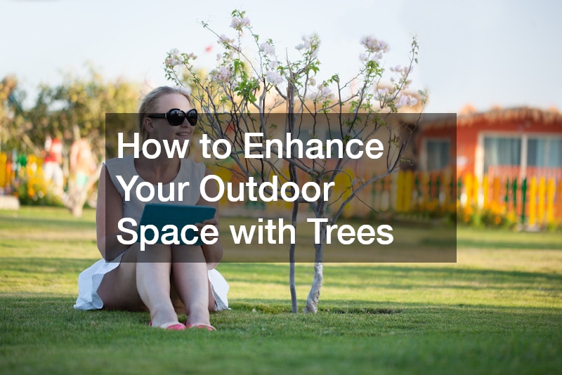 How to Enhance Your Outdoor Space with Trees