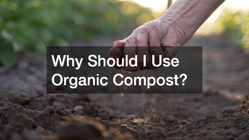 Why Should I Use Organic Compost?