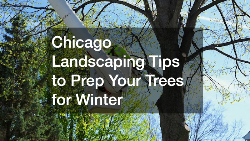 Chicago Landscaping Tips to Prep Your Trees for Winter